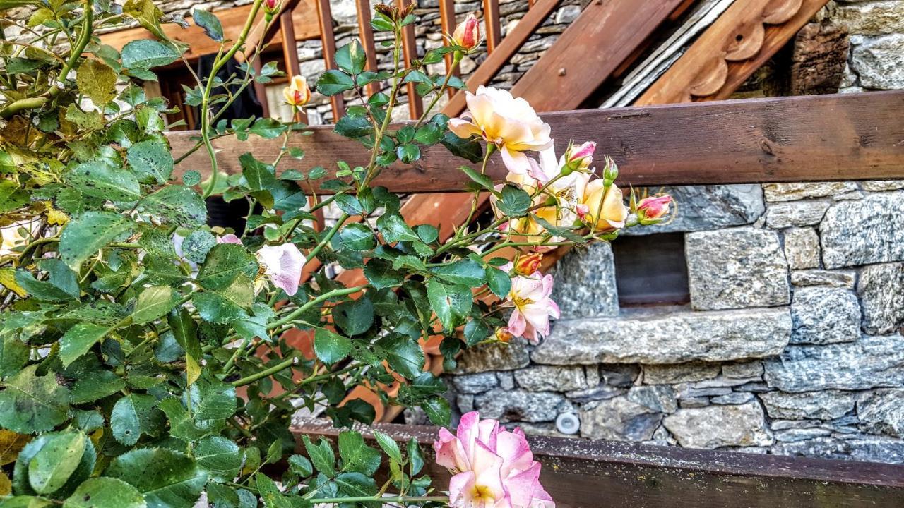 Eco Chalet Maison Dominique Challand-Saint-Anselme Ngoại thất bức ảnh